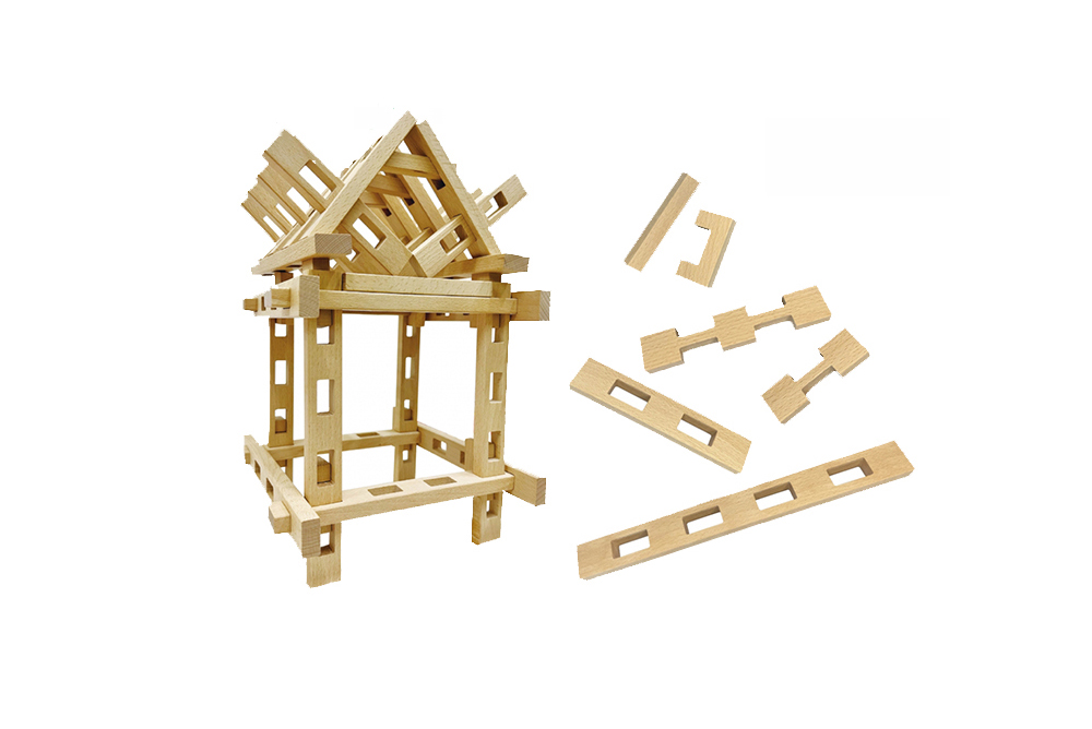 櫸木多孔思維積木(256pcs/盒)